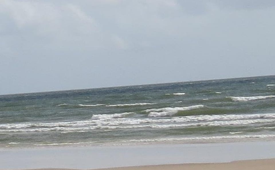 Explore Marajó Island: 2-Day Cultural and Nature Tour
