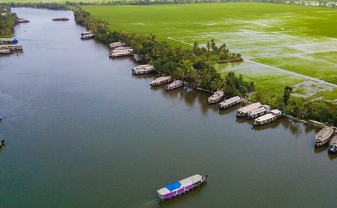 Alleppey Backwater Cruise with Lunch from Kochi