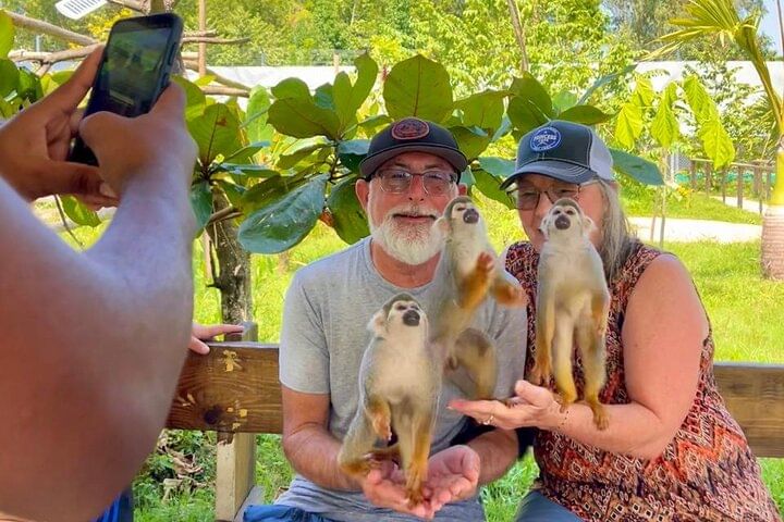 Damajagua Waterfalls and Monkey Private Van Tour