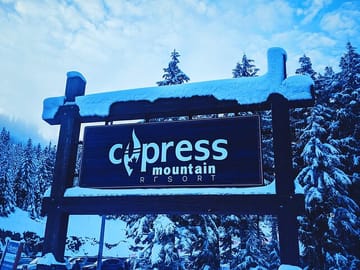 Cypress Sign