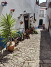 Private Fátima, Nazaré & Óbidos from Lisbon 10