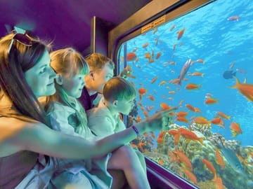 Royal Sea Scope Premium | Halb-U-Boot-Erlebnis & Korallenriff-Tour in Hurghada