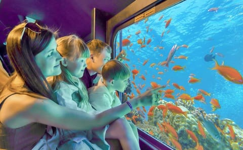 Hurghada Royal Sea Scope Premium Semi-Submarine Tour