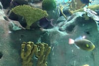 Private Family Day Tour in Guangzhou to Grandview Aquarium and Guangzhou Zoo 4
