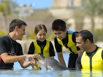 Swim and Interact with Dolphins in Dubai's Shallow Waters