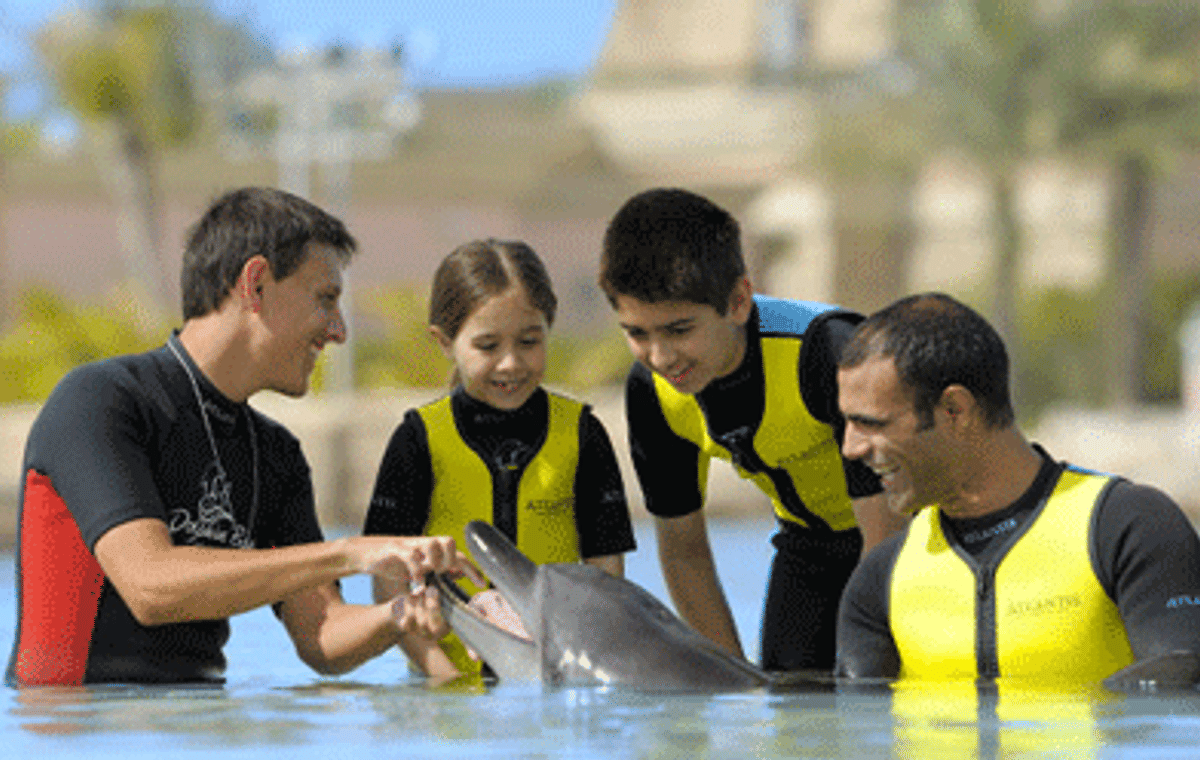 Play With Dolphins (Shallow Water)
