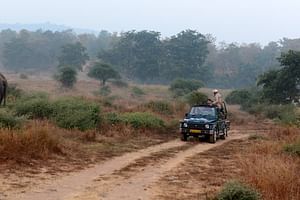 Jungle Majesty & Monumental Marvels: India's Wildlife and History