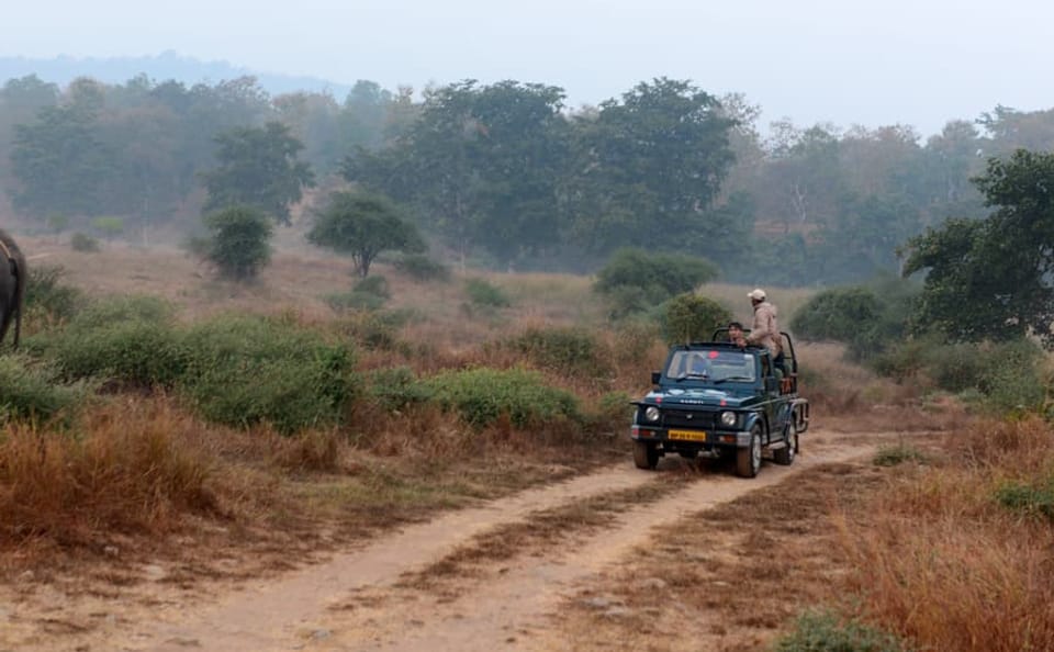 Wildlife and Cultural Tour of Delhi, Agra, and Bhopal