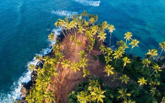 From Bentota: Mirissa Whale Watching Tour 8