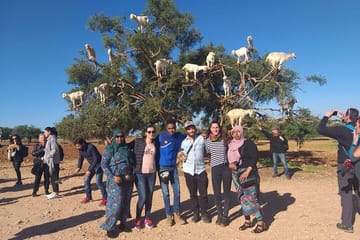 11-Day Adventure Tour from Marrakech to Ait Ben Haddou and Casablanca