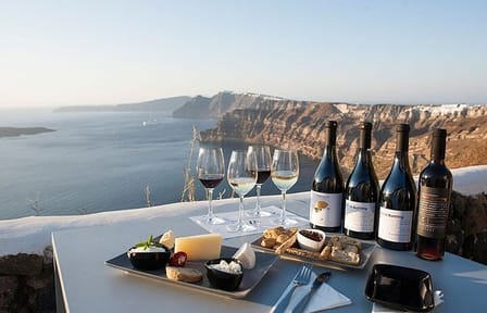 Private Wine Tour in 3 Wineries with 12 Wine Tastings and Tapas