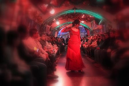 Authentic Flamenco Experience in Sacromonte Caves with Refreshments