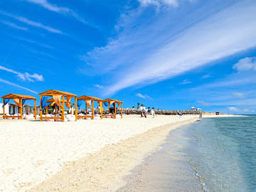 Snorkeling Day Trip to Abu Dabbab Beach in Marsa Alam
