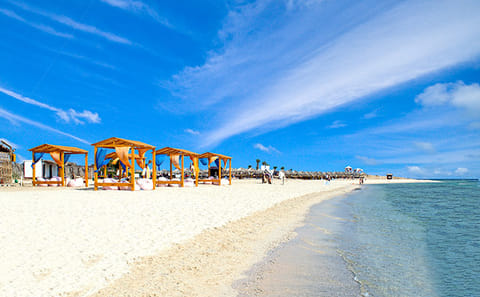 Snorkeling Day Trip to Abu Dabbab Beach in Marsa Alam