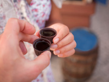 Private Full Day Wine Tour from Lisbon to Óbidos with Tastings