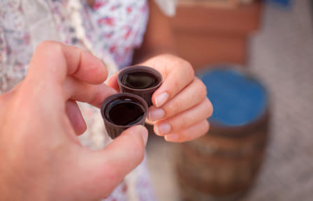 Private Full Day Wine Tour from Lisbon to Óbidos with Tastings