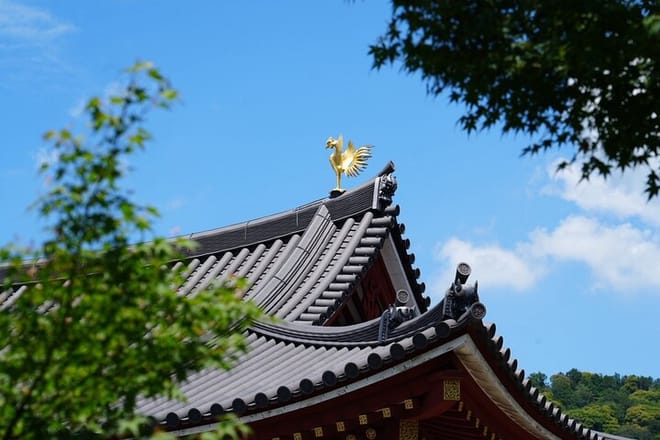 Kyoto Uji Matcha Morning Tour with English Speaking Guide 5
