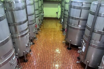 Full Day Wine Tasting Tour in Stellenbosch, and, paarl