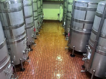 Full Day Wine Tasting Tour in Stellenbosch and Paarl