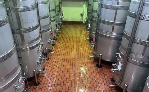 Full Day Wine Tasting Tour in Stellenbosch and Paarl