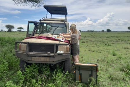 Zanzibar: 2-Day Serengeti Safari Tour with Flights