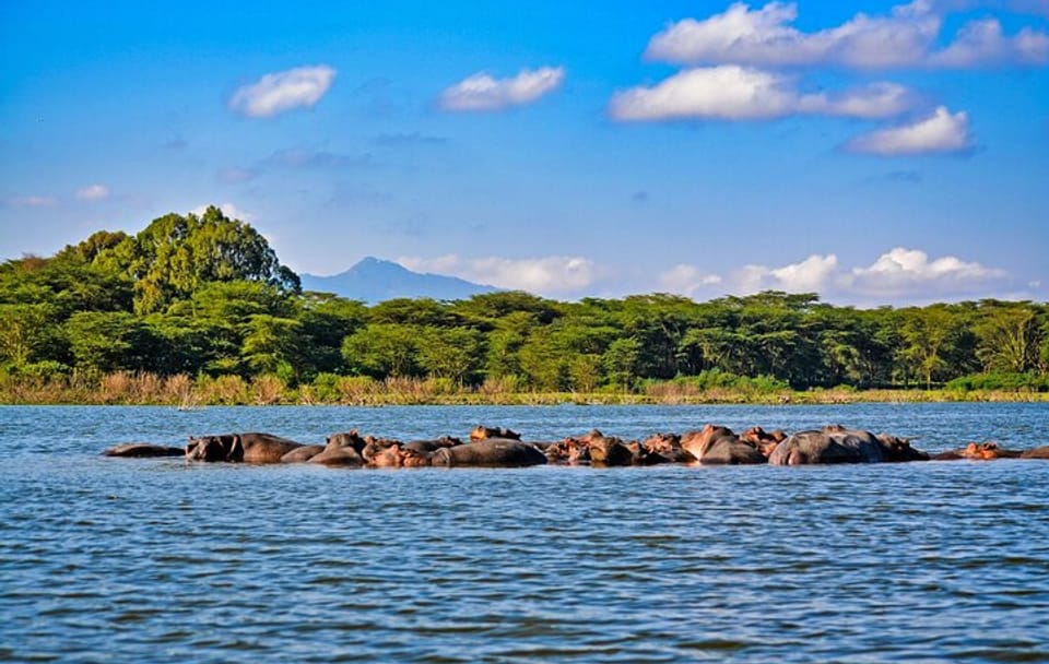 4-Day Safari Tour of Masai Mara, Lake Nakuru, and Hell's Gate
