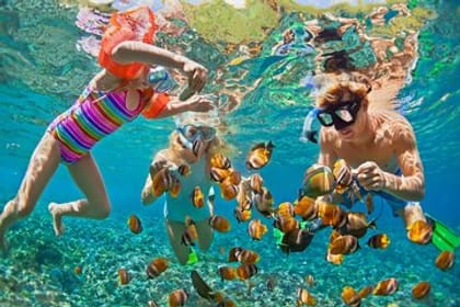 Snorkeling Adventure in Ras Mohammed National Park, Sharm El Sheikh