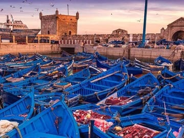 Essaouira Private Day Trip