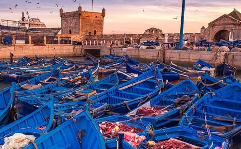Essaouira Private Day Trip