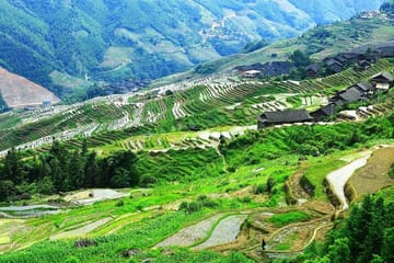 Full-day Hiking Tour of Longji Rice Terraces and Villages