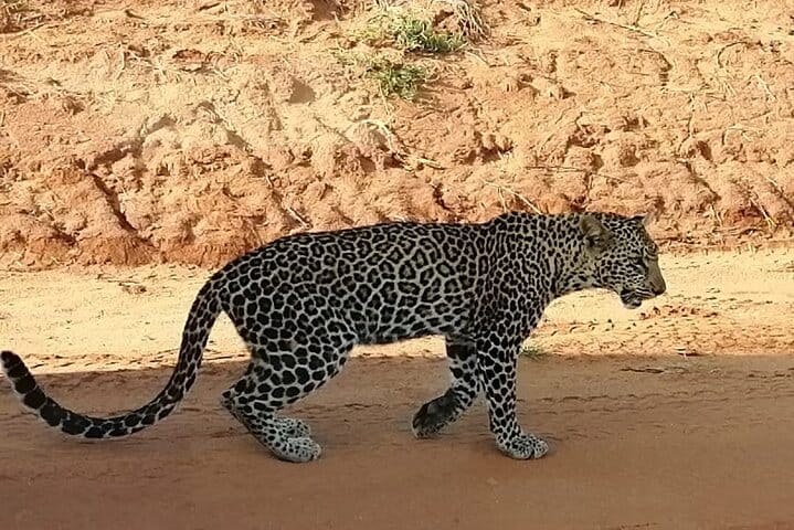 Private 3 Day Tsavo East Safari from Mombasa 7