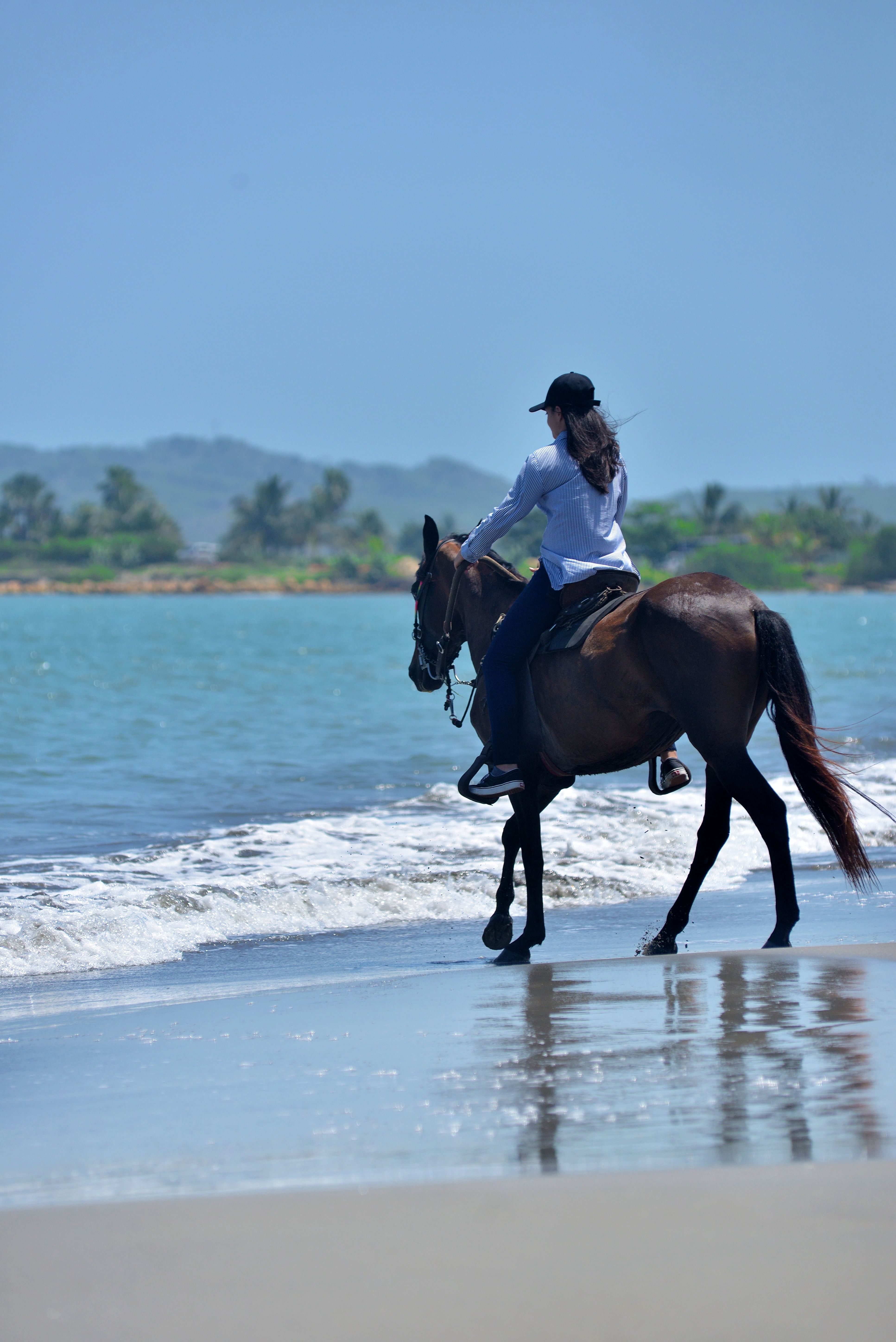 Cabalgata en Caballo de Paso fino en la playa