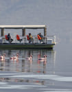 Day Trip To Lake Nakuru National Park 4