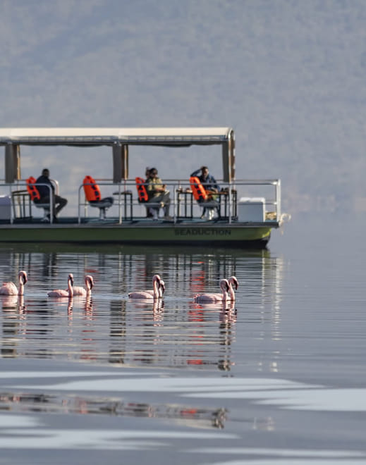Day Trip To Lake Nakuru National Park photo 4