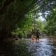 Phuket Eco Exploration Raft Ride & Discover Tour from Khao Lak