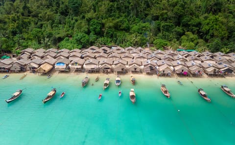 Khao Lak : Surin Islands Snorkeling Day Trip with Lunch