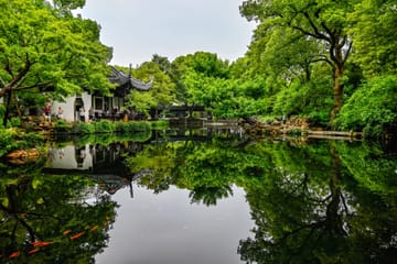 Spring Day Trip from Shanghai to Wuxi Cherry Blossoms and Gardens