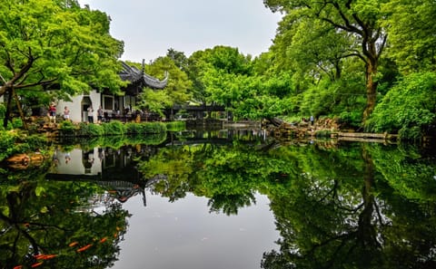 Spring Day Trip from Shanghai to Wuxi Cherry Blossoms and Gardens