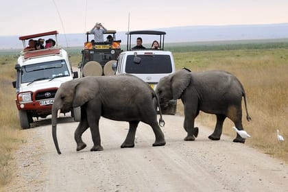 3 Days Maasai Mara Private Safari