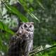 Bird Park