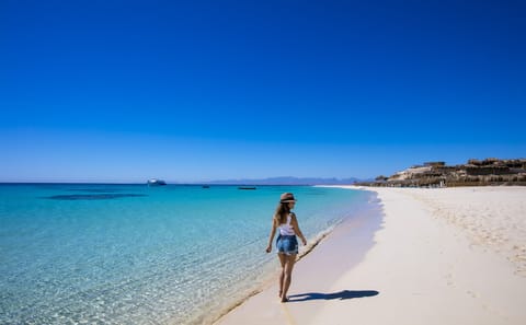 Snorkeling Adventure at Mahmya Island from Hurghada