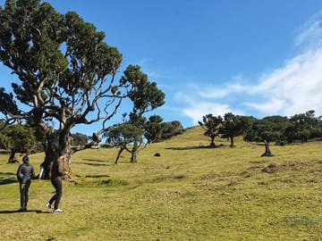 Private Full-Day 4x4 Tour of West Madeira from Funchal