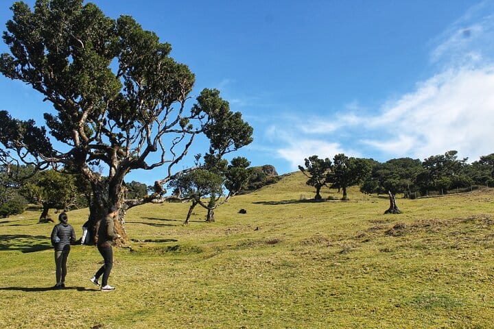 Full Day Private 4x4 Tour in West Madeira with Local Guide 2