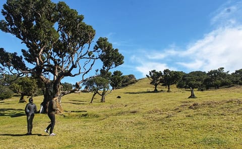 Private Full-Day 4x4 Tour of West Madeira from Funchal
