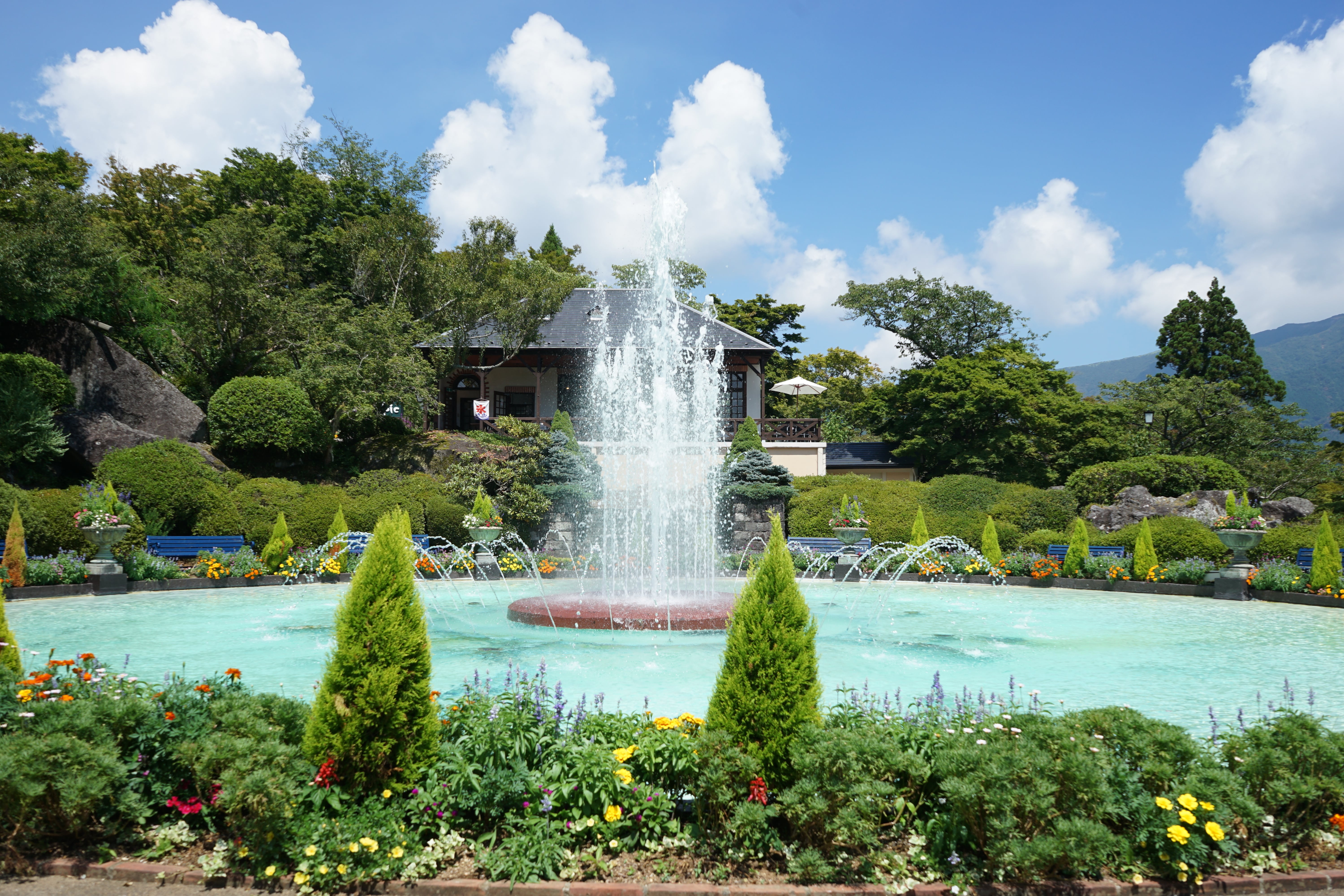 Hakone Private One-Day Guided Tour with Overnight Ryokan from Tokyo