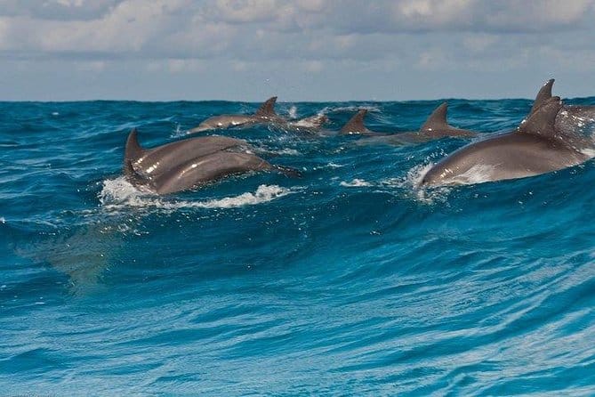 Private Mnemba Atoll Dhow Boat Excursion from Kendwa/Nungwi 2