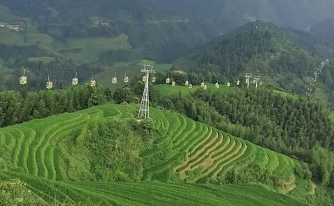 Longji Rice Terraces and Pingan Village Day Tour