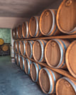 Villa Sintica Wine Tasting Tours & Activities 5