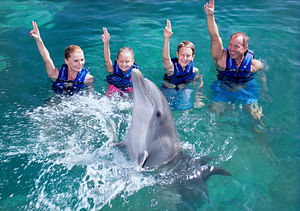 Dolphin Supreme Riviera Maya