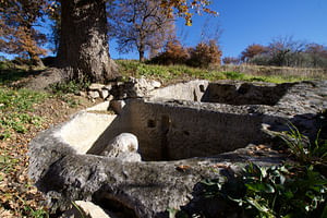A guided tour of the Palmenti di Pietranico